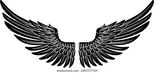 A spread pair of angel or eagle feather wings