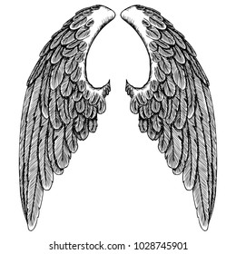 866 Angel wings etching Stock Vectors, Images & Vector Art | Shutterstock