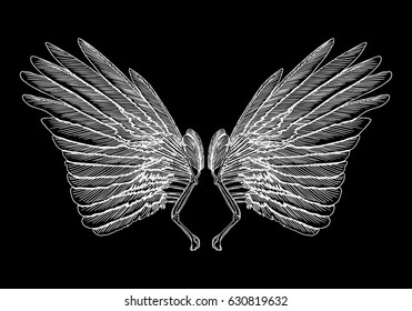 Spread set of wings. Hand drawn etched woodcut vintage style pair of wing collection vector.