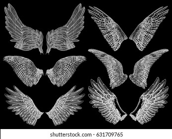 Spread set of wings. Hand drawn etched woodcut vintage style pair of wing collection vector.