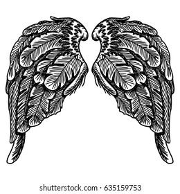 Spread set of wings. Hand drawn etched woodcut vintage style  collection vector.