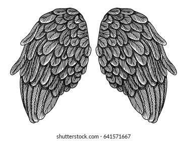 Spread set of wings. Hand drawn etched woodcut vintage style pair of wing collection vector.