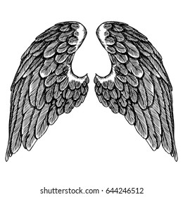 Spread set of wings. Hand drawn etched woodcut vintage style pair of wings collection vector.
