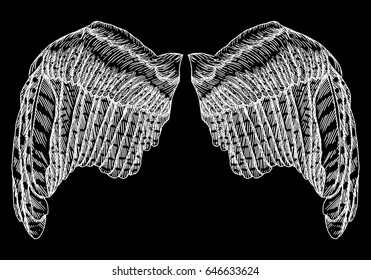 Spread set of wings. Hand drawn etched woodcut vintage style pair of wing collection vector.