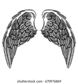 Spread set of wings. Hand drawn etched woodcut vintage style pair of wing collection vector.