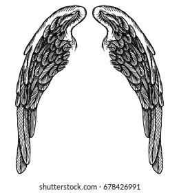 Spread set of wings. Hand drawn etched woodcut vintage style pair of wing collection vector.