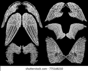 Spread set of wings. Hand drawn etched woodcut vintage style pair of wing collection vector.