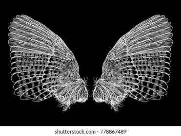 Spread set of wings. Hand drawn etched woodcut vintage style pair of wing collection vector.