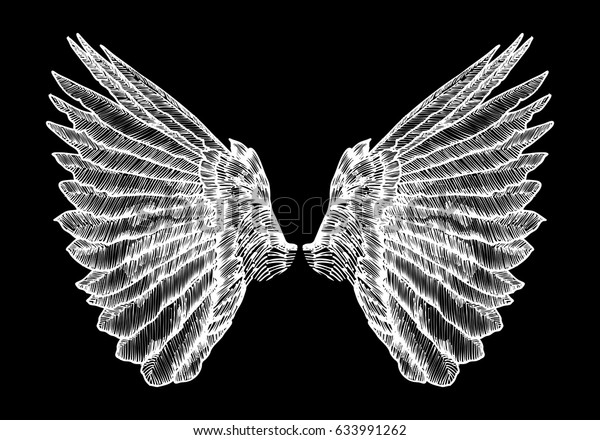 Spread Set Wings Hand Drawn Etched Stock Vector (Royalty Free ...