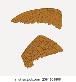 Spread wings of swift bird, goose bird flat design, line art