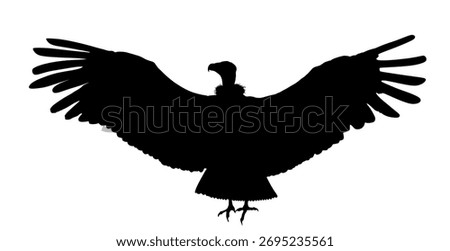 Spread wings vulture vector silhouette illustration isolated on background. Big bird symbol animal. Griffon vulture zoo attraction. Shape eagle shadow.