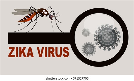 Spread of zika and dengue virus. (Vector Design)