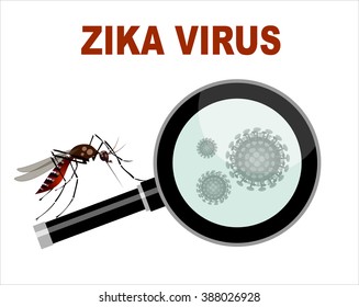 Spread of zika and dengue virus. (Vector Design)