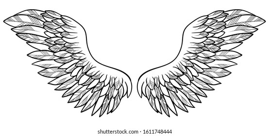 Spreaded wings, symbol of freedom, vector