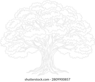 Spreading Banyan Tree Outline Graphic. Hand-Drawn Nature Clip Art and Botanical Adult Coloring Book Page Element.