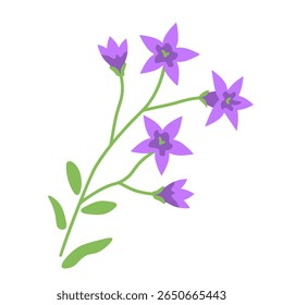 Espalhando vetor de flor de ventre ilustração decorativa

