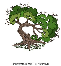spreading tree with hollows on the trunk and roots, color clip-art on a white isolated background
