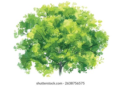Spreading tree, oak, with green leaves, hand drawn sketch  vector ilustration