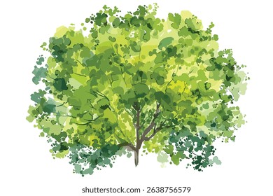 Spreading tree, oak, with green leaves, hand drawn sketch  vector ilustration