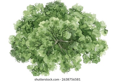 Spreading tree, oak, with green leaves, hand drawn sketch  vector ilustration