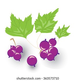 a sprig of black currants, vector illustration  isolated on white background