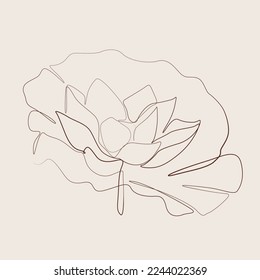 A sprig of blooming lily flower with leave vector line art illustration. One Line style drawing of single flower. Simple hand drawn elements. Vector illustration