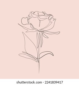 A sprig of blooming rose vector line art illustration. One Line style drawing of flowers. Simple hand drawn elements. Vector illustration