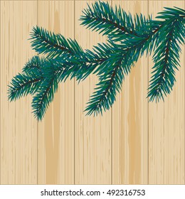 Sprig of blue spruce on a background of wood. vector illustration