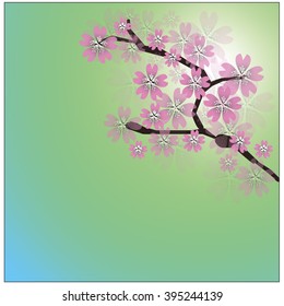 a sprig of cherry blossoms