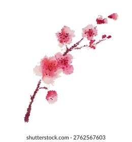 a sprig of cherry blossoms object. Hand drawn. Not AI, vector illustration