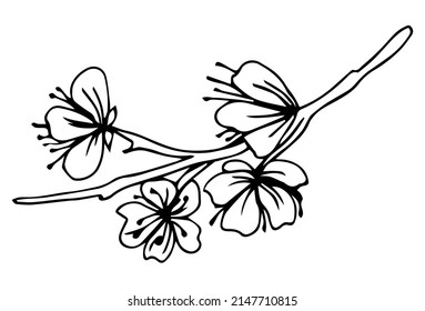 Un brote de cerezos en flor.Diseño vectorial para banderas y postales.Naturaleza.Colores