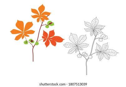 a sprig of chestnut. autumn foliage. harvest of chestnuts. hazelnuts. the fall. black and white and color options. coloring book for children. stickers. svg