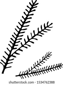 Sprig of Christmas tree. Doodle vector illustration for winter greeting cards, posters, stickers and seasonal design.