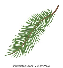 Sprig coniferous plant vintage label colorful with fir fragment for design packaging of goods made from Christmas tree vector illustration