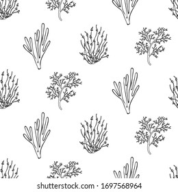 Sprig of coral pattern. Vector hand drawn pattern. Vintage marine sea life sketch