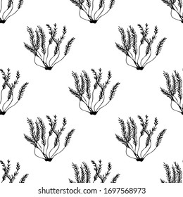 Sprig of coral pattern. Vector hand drawn pattern. Vintage marine sea life sketch