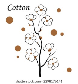 
A sprig of cotton on a white background. Vector illustration in doodle style.