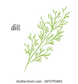 A sprig of dill, greens for salad. Ingredient, an element for the design of food packaging, recipes, and menus. Isolated on a white background vector illustration in a flat style