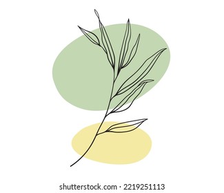 Sprig eucaliptus with shapes. Floral line art. Outline vector flowers. Wedding elegant continuous line drawing. 