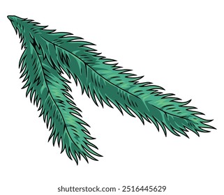 Sprig fir colorful vintage sticker with fragment of coniferous tree found in forest for production of Christmas decorations vector illustration