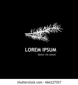 Sprig of fir object. Vector