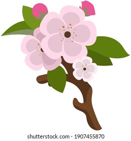 Sprig of flowering fruit tree from garden flat vector. Blooming cherry or peach tree branch with green leaves and pink flower bud isolated on white background. Nature, botany and horticulture theme