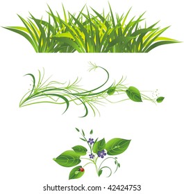 Sprig with flowers, grass and ladybird. Three isolated compositions. Vector