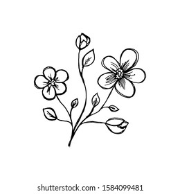 Sprig with flowers. Two flowers and a bud. Isolated on a white background. Black outline. Decor element. Drawn by hand. Vector.