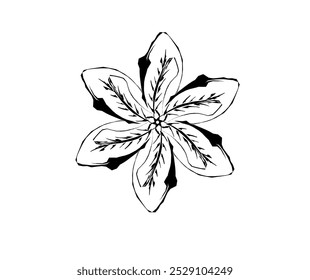 Una ramita de flores, arte de línea de Vector aislado fondo blanco