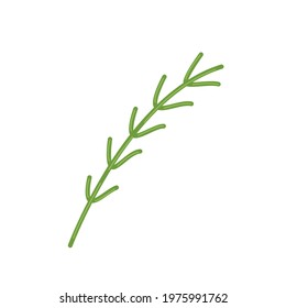 Sprig of fresh rosemary, fragrant herbs for cooking, vector clipart in flat style, isolate on white.