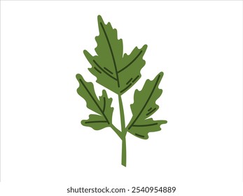 Ramita de perejil verde fresco o cilantro. Vector aislado en la ilustración plana blanca de condimento de hierbas.