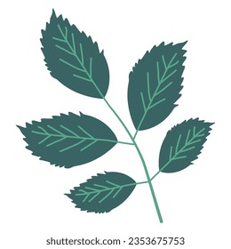 Sprig of green leaves leaf hand drawn sketch. Flat doodle style. Vector illustration.