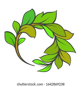 sprig of green leaves on a white background, vector illustration .