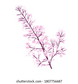 a sprig of gypsophila. Vector illustration